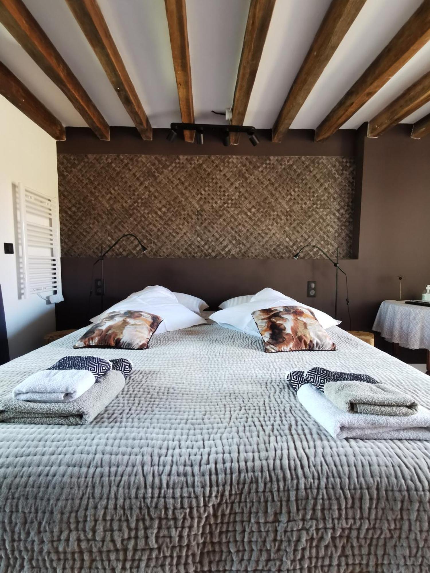 Bed and Breakfast La Jacquiere Шомон-сюр-Луар Екстер'єр фото